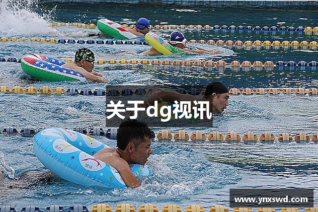 关于dg视讯